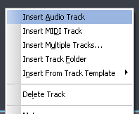 Step 04 - Once all tracks you want to monitor have a DPMP,  create a new empty audio track